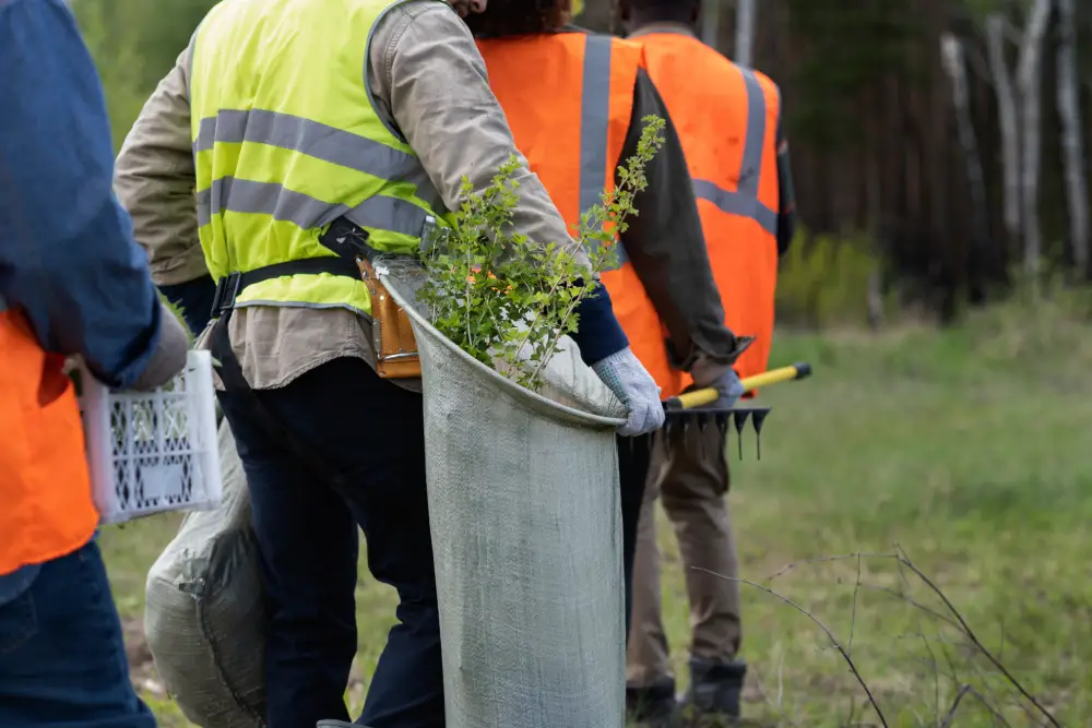 reforestation-done-by-voluntary-group